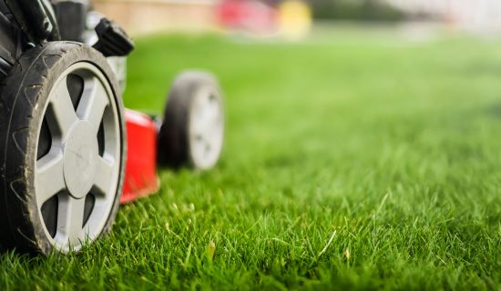 Das Bild zeigt einen Rasenmäher, dessen Räder im Fokus stehen, auf einem saftig grünen Rasen. Im Hintergrund verschwimmt die Umgebung in Unschärfe, wodurch eine ruhige und gepflegte Atmosphäre entsteht. Das Licht scheint weich und natürlich, was die Szene