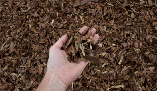 Im Vordergrund hält eine Hand eine kleine Menge Rindenmulch. Der gesamte Bildausschnitt dahinter ist von einer dicken Schicht Rindenmulch bedeckt. Das Bild hat eine natürliche und praktische Ausstrahlung.