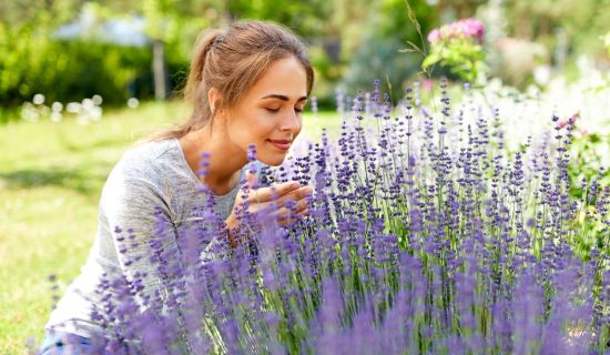 Frau riecht am Lavendel