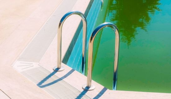 Grünes Poolwasser