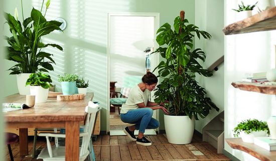 Frau kümmert sich um Zimmerpflanzen