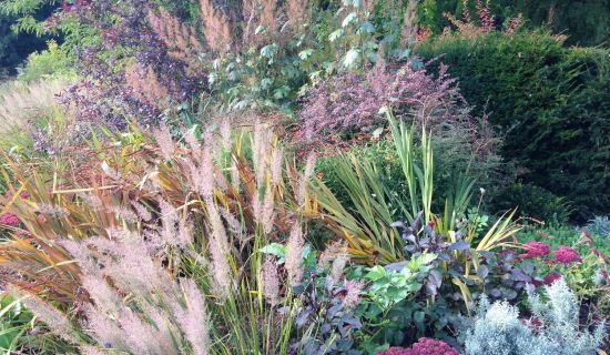 Staudenbeet mit Gräsern