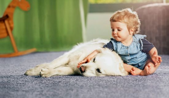 Kind sitzt mit Hund auf Teppich