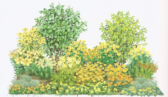 Ganzjahres Beet im Sommer