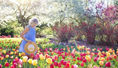 Frau schlendert durch üppig blühenden Garten