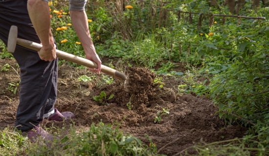 Mann grabt Garten um