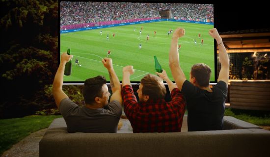 Drei Männer sitzen im Garten und bejubeln Fußball auf der Großbildleinwand
