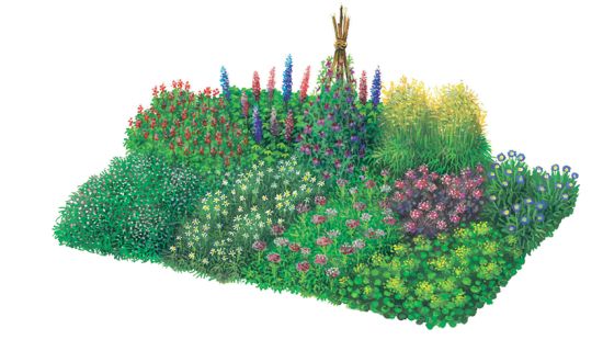 Pflanzplan für ein Schnittblumenbeet