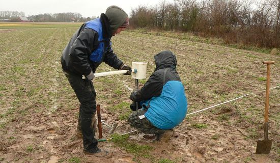 Bodenprobe wird mit dem Pürckhammer eingeschlagen