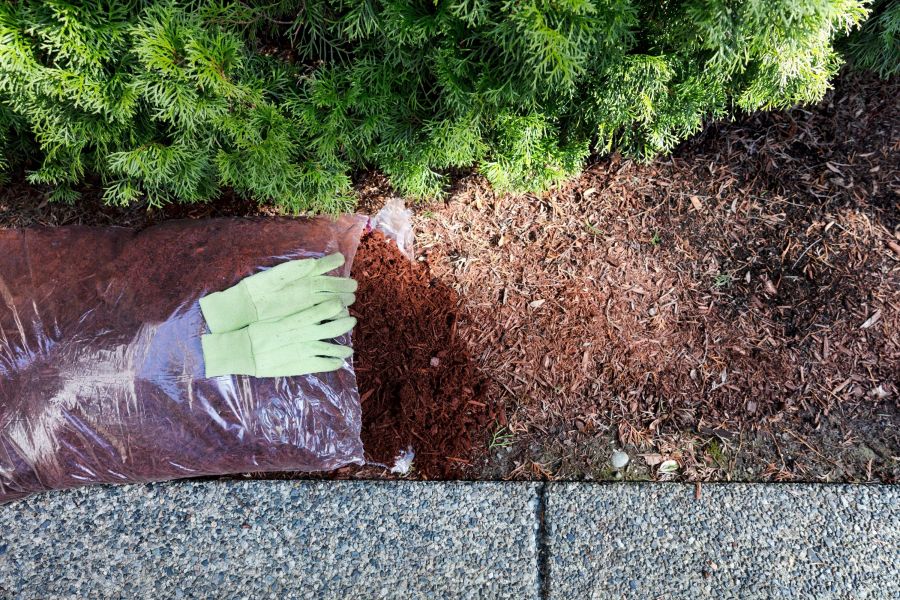 Das Bild zeigt Vorbereitungen für die Gartenarbeit: Ein Sack Mulch und Gartenhandschuhe liegen bereit am Rand eines Beetes. Daneben wurde bereits Mulch aufgeschüttet, während im Hintergrund dichtes Grün zu sehen ist. Die Szene vermittelt eine praktische A