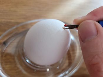 Ostereier Löcher zum Ausblasen piksen Ei auspusten