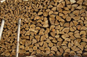 Brennholz Holz lagern Holzscheite