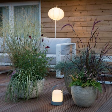 Gräser im Kübel auf der Terrasse