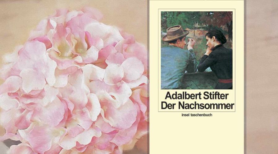 Adalbert Stifter Der Nachsommer Buch Cover Collage