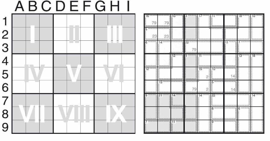 Sudoku Raster mit Beispiel Killer Sudoku