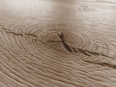 Detailaufnahme einer Holzmaserung mit natürlicher Struktur und einer markanten Rissbildung, die dem Vinyl-Material Tiefe verleiht.