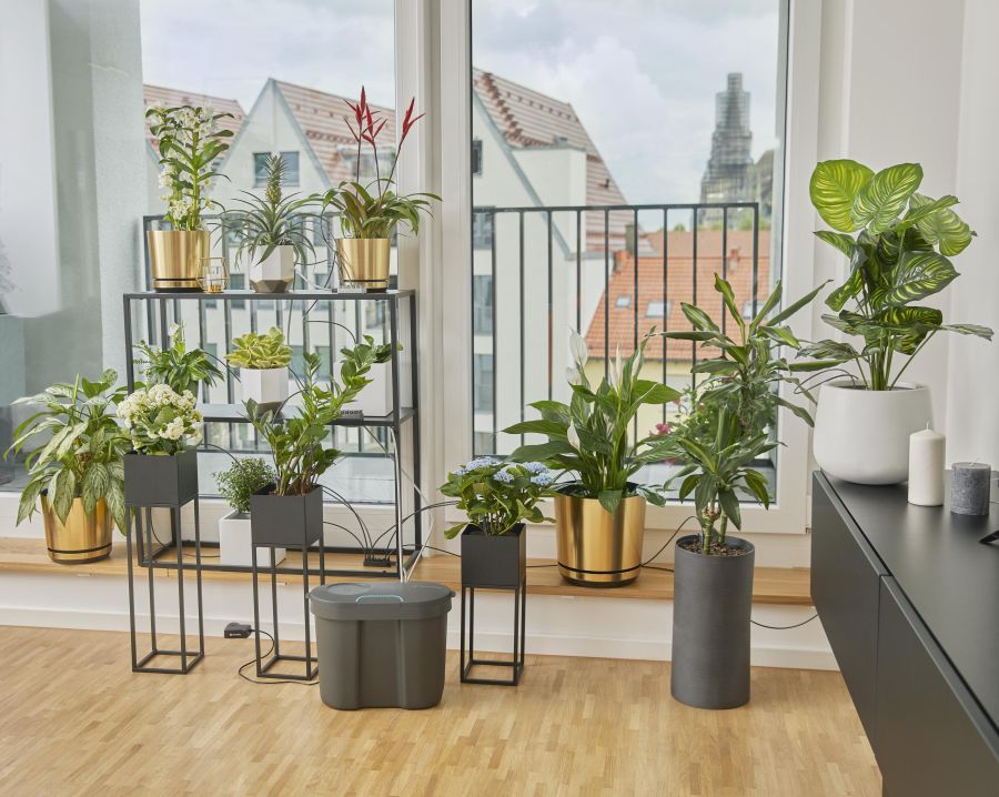Zahlreiche Zimmerpflanzen in modernen Töpfen sind auf einer Fensterbank und auf Pflanzenständern arrangiert. In der Mitte steht ein grauer Wasserbehälter mit einer Pumpe, von dem dünne Schläuche zu jeder einzelnen Pflanze führen, um eine automatische Urla