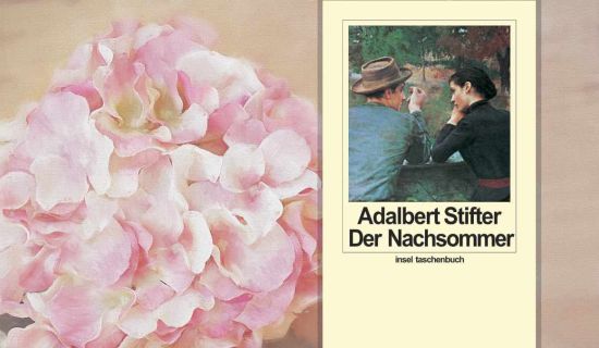 Adalbert Stifter Der Nachsommer Buch Cover Collage