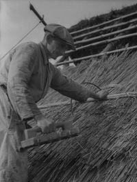 Schwarz-Weiß-Foto von einem Mann der ein Reetdach deckt