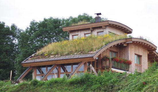 Dachbegrünung Aufbau eines Gründachs