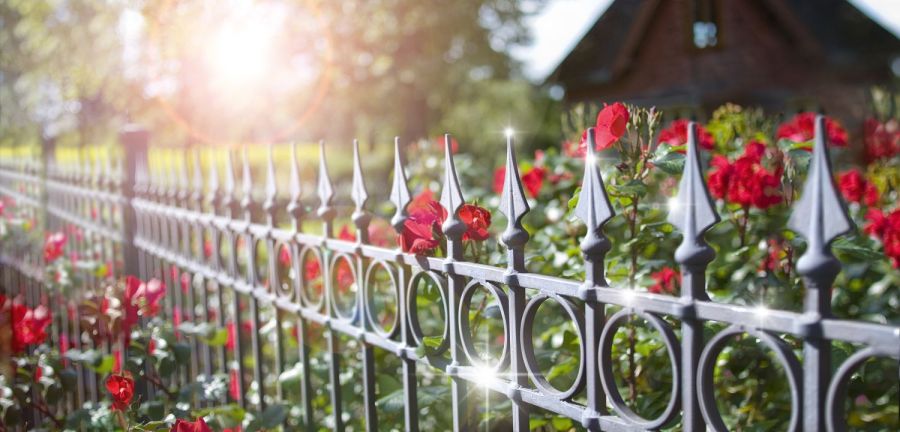romantisch bewachsener Gartenzaun