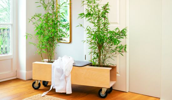 Eine Bank in die rechts und Links eine Pflanze gestellt werden kann.