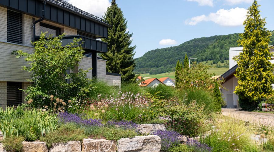 Vorgarten mit Natursteinmauer am Hang und lebendiger Bepflanzung