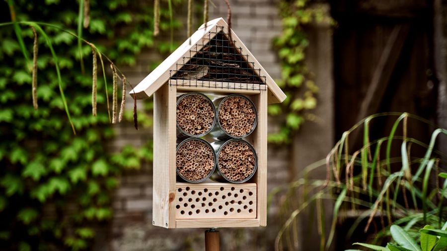 Insektenhotel selber bauen einfache Anleitung