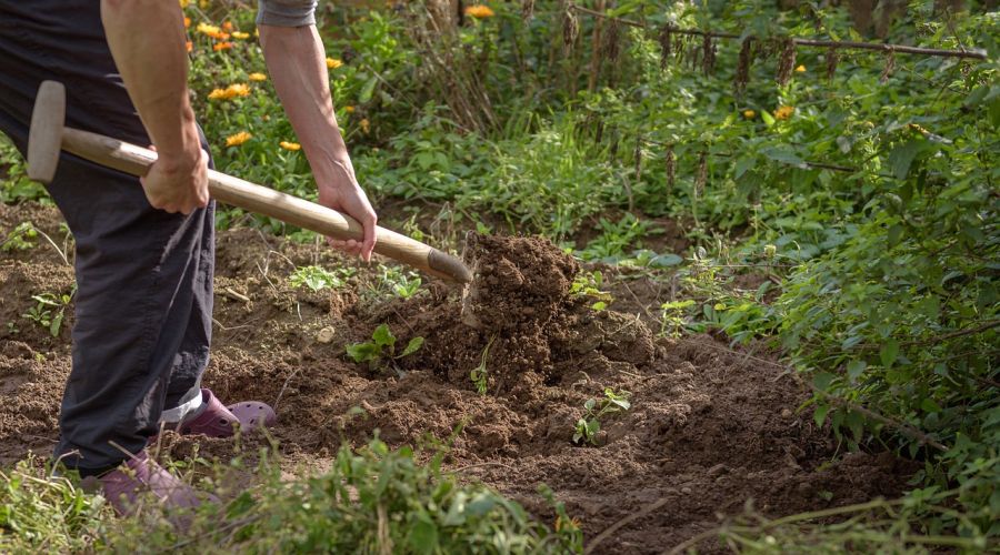 Mann grabt Garten um