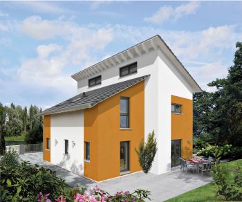 Pultdach Haus