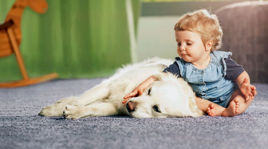 Kind sitzt mit Hund auf Teppich