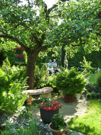 Dieser Apfelbaum wurde mit Farnen unterpflanzt.