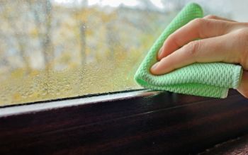 Eine Hand wischt mit einem hellgrünen Mikrofasertuch Wassertropfen (Kondenswasser) von einer stark beschlagenen Fensterscheibe ab. Durch das Fenster sind im unscharfen Hintergrund herbstlich gefärbte Bäume zu erkennen.