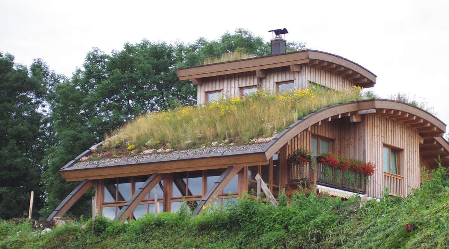 Dachbegrünung Aufbau eines Gründachs
