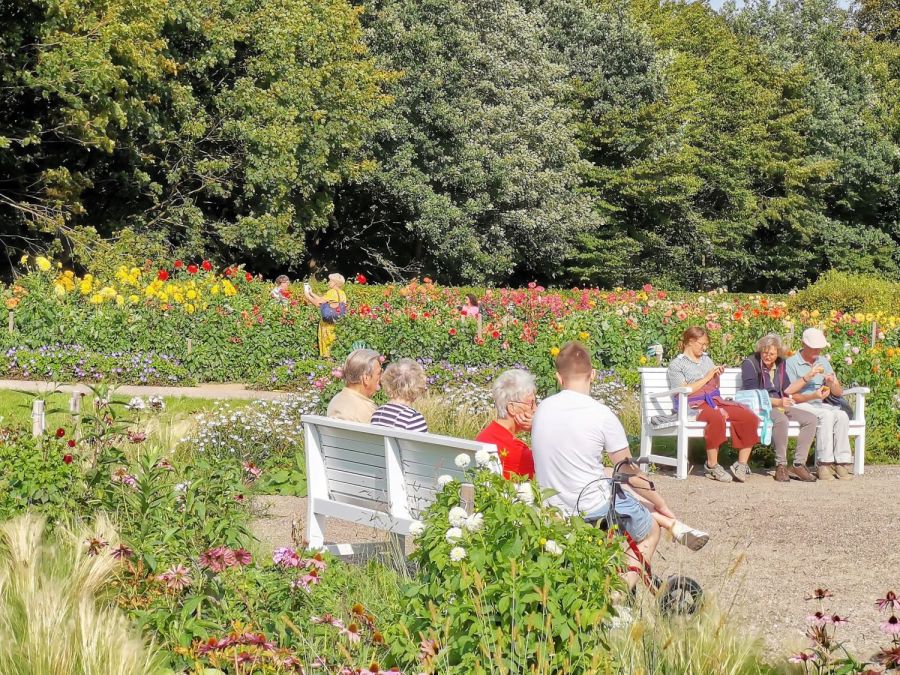 Dahliengarten Hamburg-Altona
