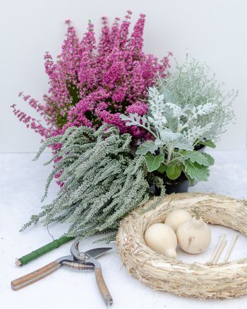Heidekranz, Strohröhmer, Minikürbisse, Bindedraht, Gartenschere