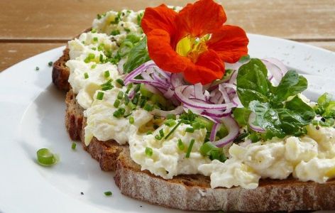 Kapuzinerkresse auf Butterbrot