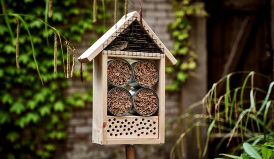 Insektenhotel selber bauen einfache Anleitung