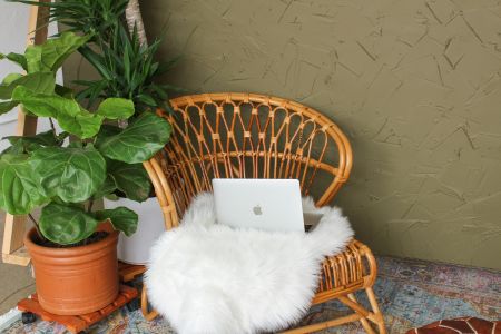 Ein klassischer Rattansessel, der mit einem weichen weißen Fell ausgelegt ist, steht vor einer olivgrün strukturierten Wand. Auf dem Sessel liegt ein silberner Laptop, flankiert von einer großen Geigenfeige in einem Terracotta-Topf.