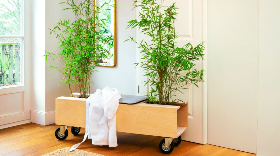 Eine Bank in die rechts und Links eine Pflanze gestellt werden kann.