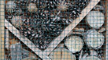 Insektenhotel