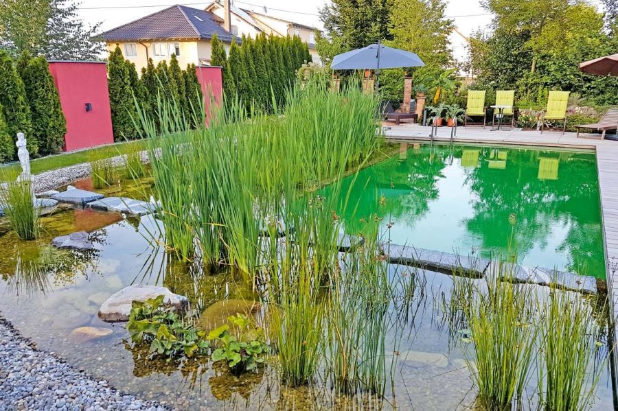 Schwimmteich mit Holzterrasse und Liegen