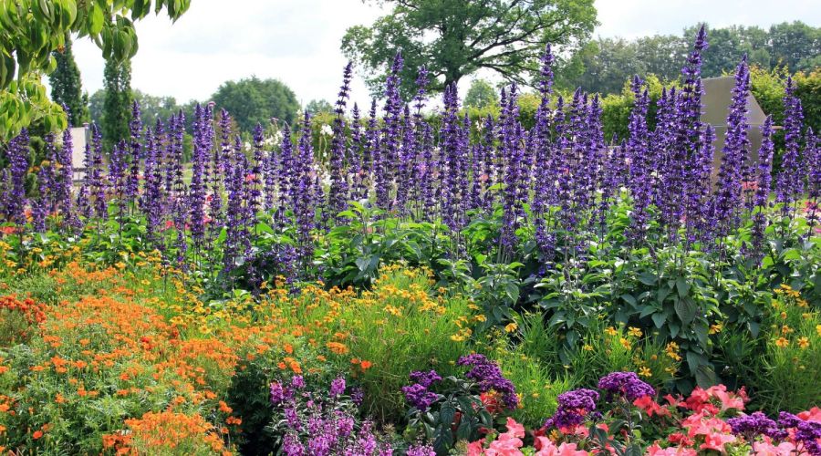 Blühendes Blumenbeet