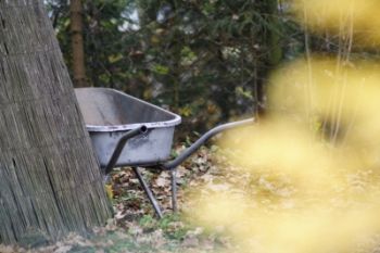 Schubkarre vor Laubhaufen im Wald