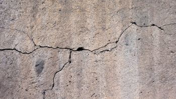 Risse in der Fassade sind ein Ausschlusskriterium bei Fassadenbegrünungen.