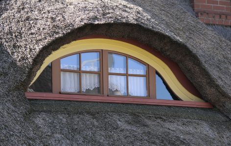 Fledermausgaube auf einem Reetdach