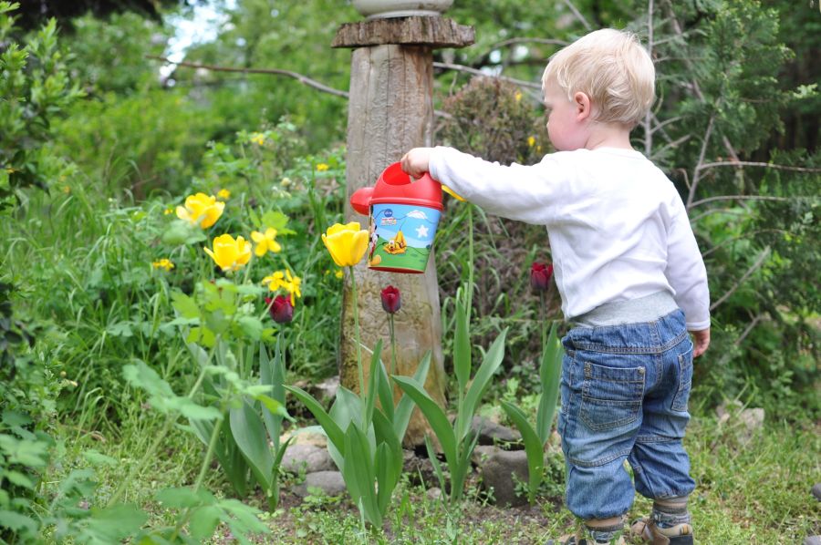 Ein kleines Kind mit blonden Haaren gießt mit einer bunten Kinder-Gießkanne gelbe Tulpen in einem wild bewachsenen Gartenbereich.