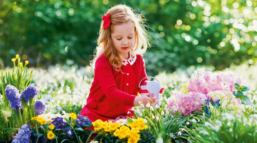 Kind gießt ein buntes Blumenbeet
