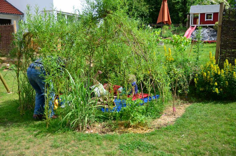 Weidentipi bauen anleitung pflanzen