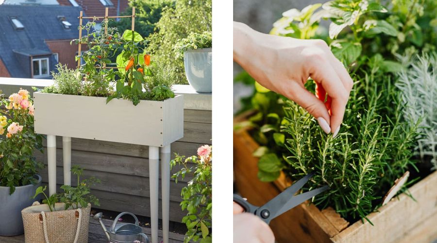 Hochbeet für den Balkon selber bauen Anleitung